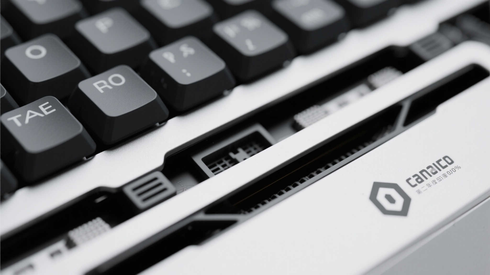 赏金女王模模拟器介绍